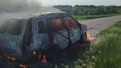Вячеслав Гладков сообщил о пострадавшей в результате атаки ВСУ в Бессоновке мирной жительнице